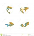 Tropical Fish And Pets