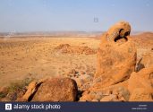 Red Rock Savannahs