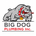 Big Dog Plumbing