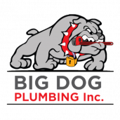 Big Dog Plumbing