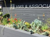 VMS and Associates
