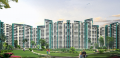 Anara Homes