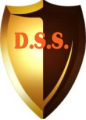 Davidson Security Services