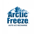 Arctic Freeze