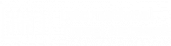International Travel Network
