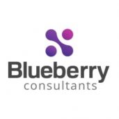 Blueberry Software