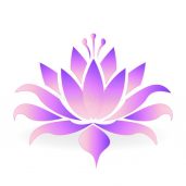 Purple Lotus