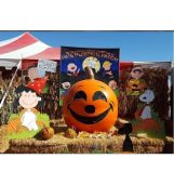 Pas Pumpkin Patch