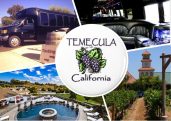 Temecula Party Bus