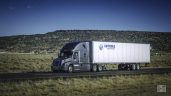 Dm World Transportation