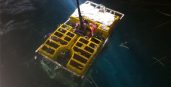 James J Hone Marine Transport