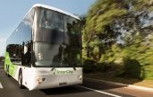 Intercity Buses