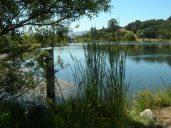 McAlpine Lake And Park