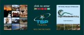 TSP Travel