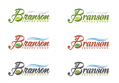 Branson Travel Group