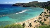 Hanauma Bay Snorkel Fun