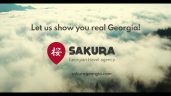 Sakura Georgian Travel Agency