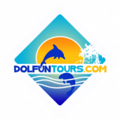 DolFun Tours