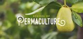 School Of Permaculture
