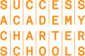 The Academy Schools