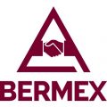 Bermex Inc