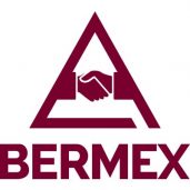 Bermex Inc