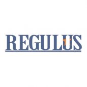 Regulus Investment and Capital Holdings [RICH]