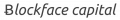 Blockface Capital