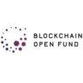 Blockchain Open Fund