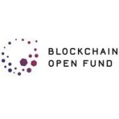 Blockchain Open Fund