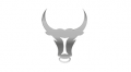 Indova Capital Management