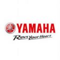 India Yamaha Motor