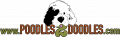 Poodles 2 Doodles