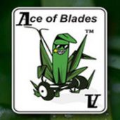 Ace of Blades