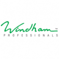 Windham Professionals