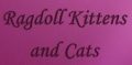 Ragdoll Kittens and Cats