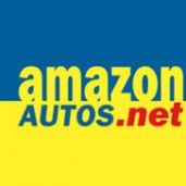 Amazon Auto Sales