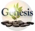 Genesis Ibogaine Center