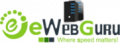 eWebGuru