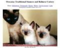 Orecatay Traditional Siamese and Balinese Cattery