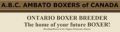 A.B.C. Ambato Boxers