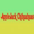 AppleJack Chihuahuas