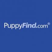 Awesome Puppies