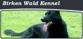 Birken Wald Kennel