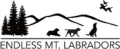 Endless Mountain Labradors