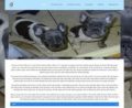 Frenchieblues.com