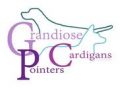 Grandiose Pointers & Cardigans