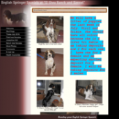 II Shea Ranch and Kennel