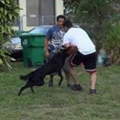 Miami Dade County K 9 Services