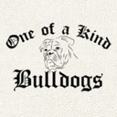 One of a Kind Bulldogs